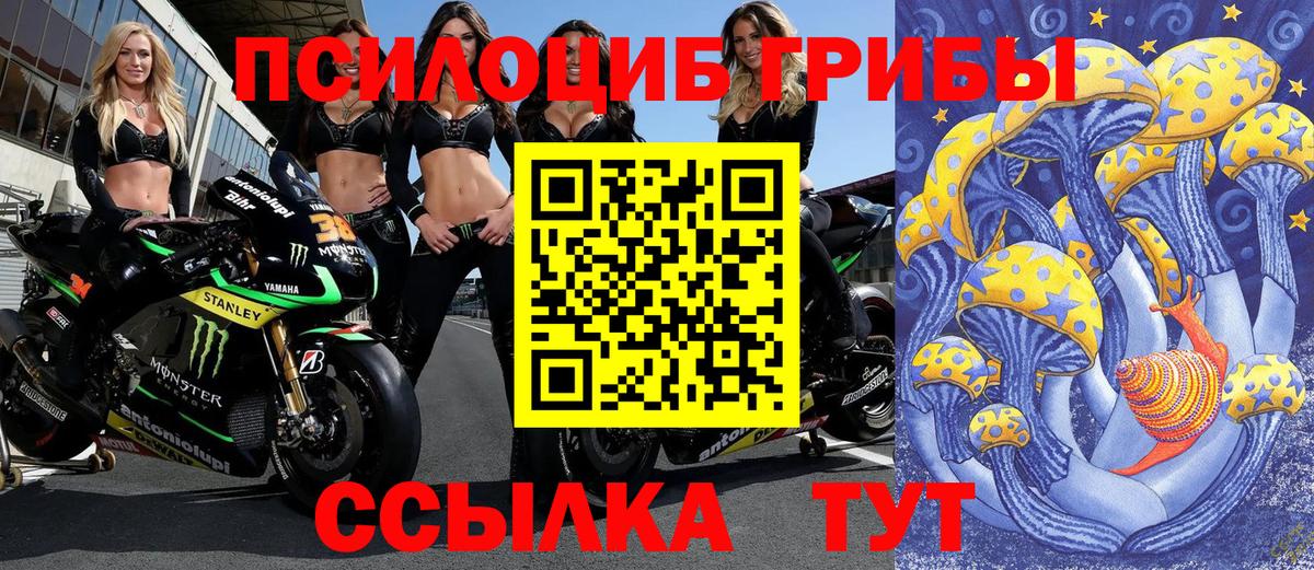 Галлюциногенные грибы мухоморы  Галлюциногенные грибы GOLDEN TEACHER  Вход с VPN  Рубцовск 