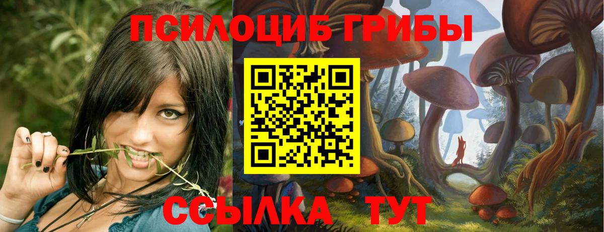 Псилоцибиновые грибы мицелий Рубцовск